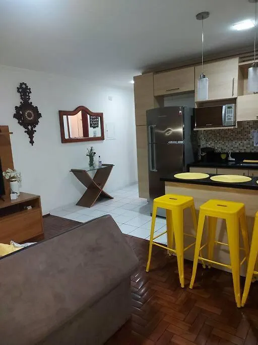 Apto Av. Ipiranga Com 1 Quarto E Internet 300 Mb. São Paulo 0*,